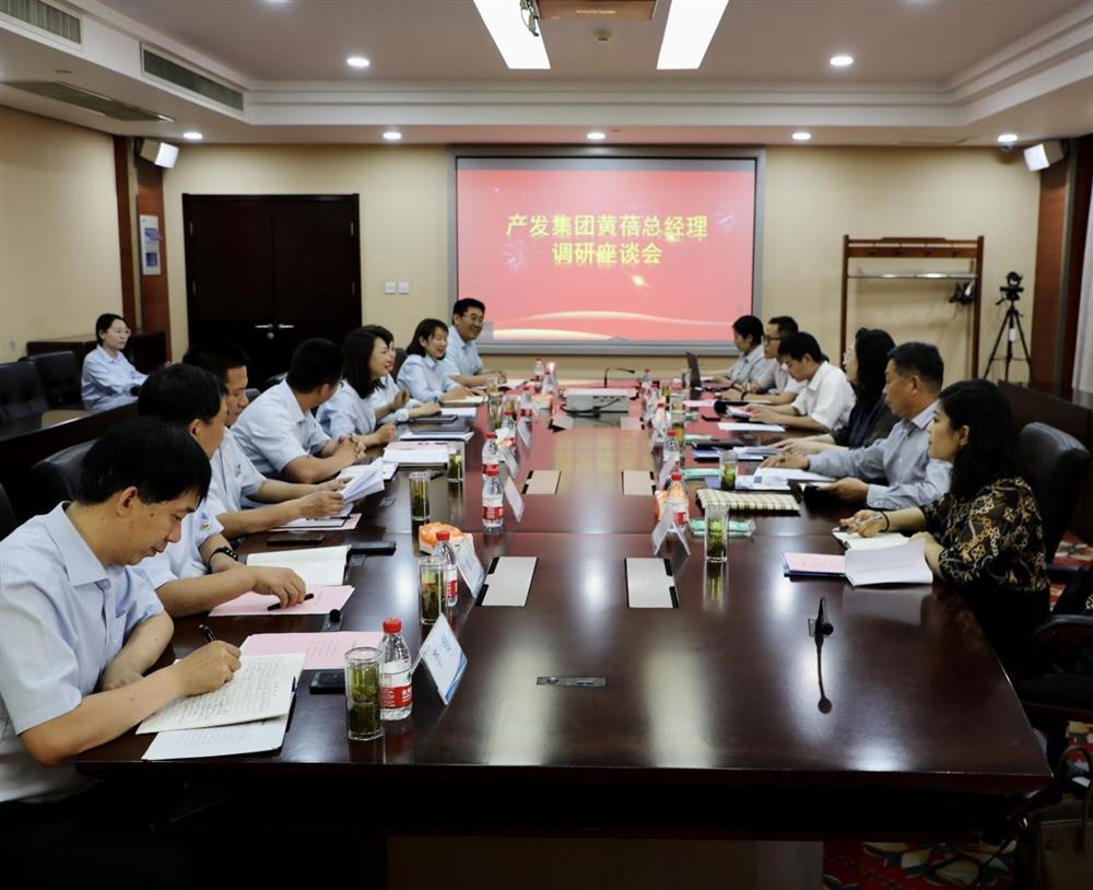 集團(tuán)黨委副書記、總經(jīng)理黃蓓帶隊(duì)調(diào)研濟(jì)南市工程咨詢院